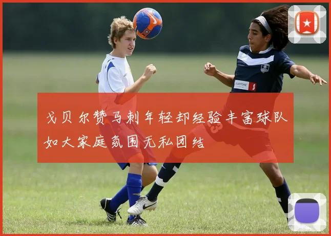 戈贝尔赞马刺年轻却经验丰富球队如大家庭氛围无私团结