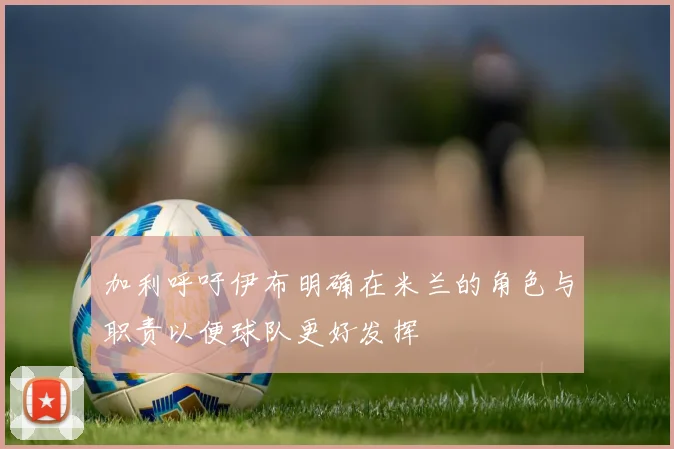 加利呼吁伊布明确在米兰的角色与职责以便球队更好发挥