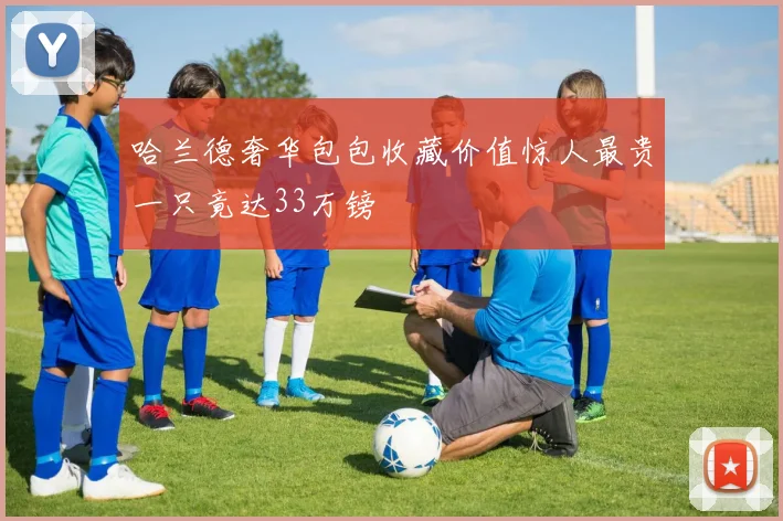 哈兰德奢华包包收藏价值惊人最贵一只竟达33万镑
